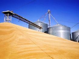 За июль — январь Россия экспортировала 31,8 млн тонн зерна